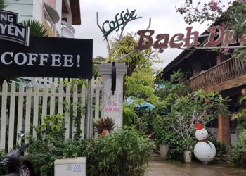 Khởi đầu ngày mới với cafe Bạch Dương – Tuy Hòa